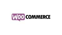 Empower You Web Solutions Woocommerce